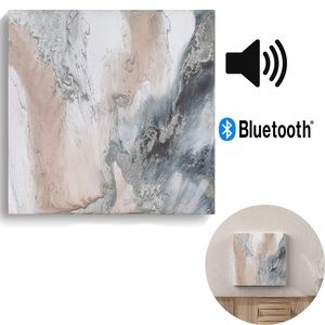 BLUETOOTH SPEAKER Abstract Silver Acrylic Painting Gallery Canvas Wall Decor Art